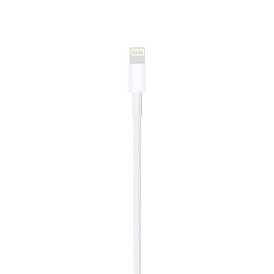 Lightning to USB Cable (1 m)