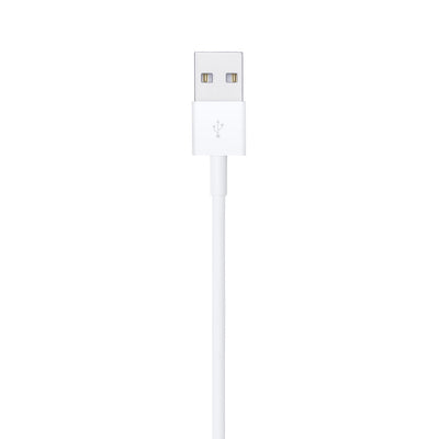Lightning to USB Cable (1 m)